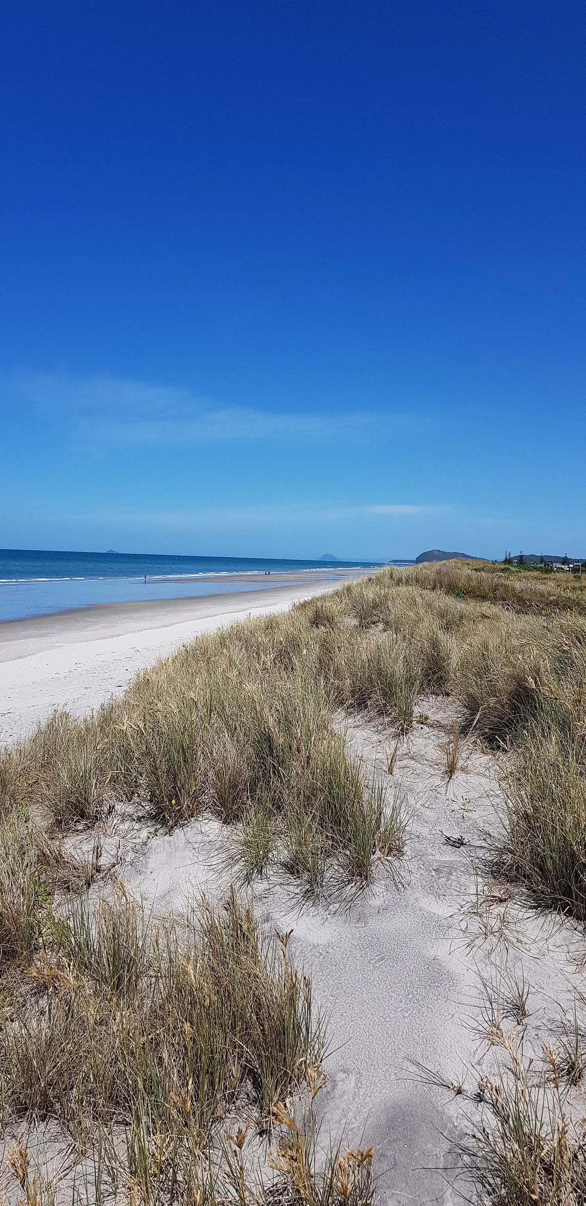 Bowentown Beach Holiday Park
