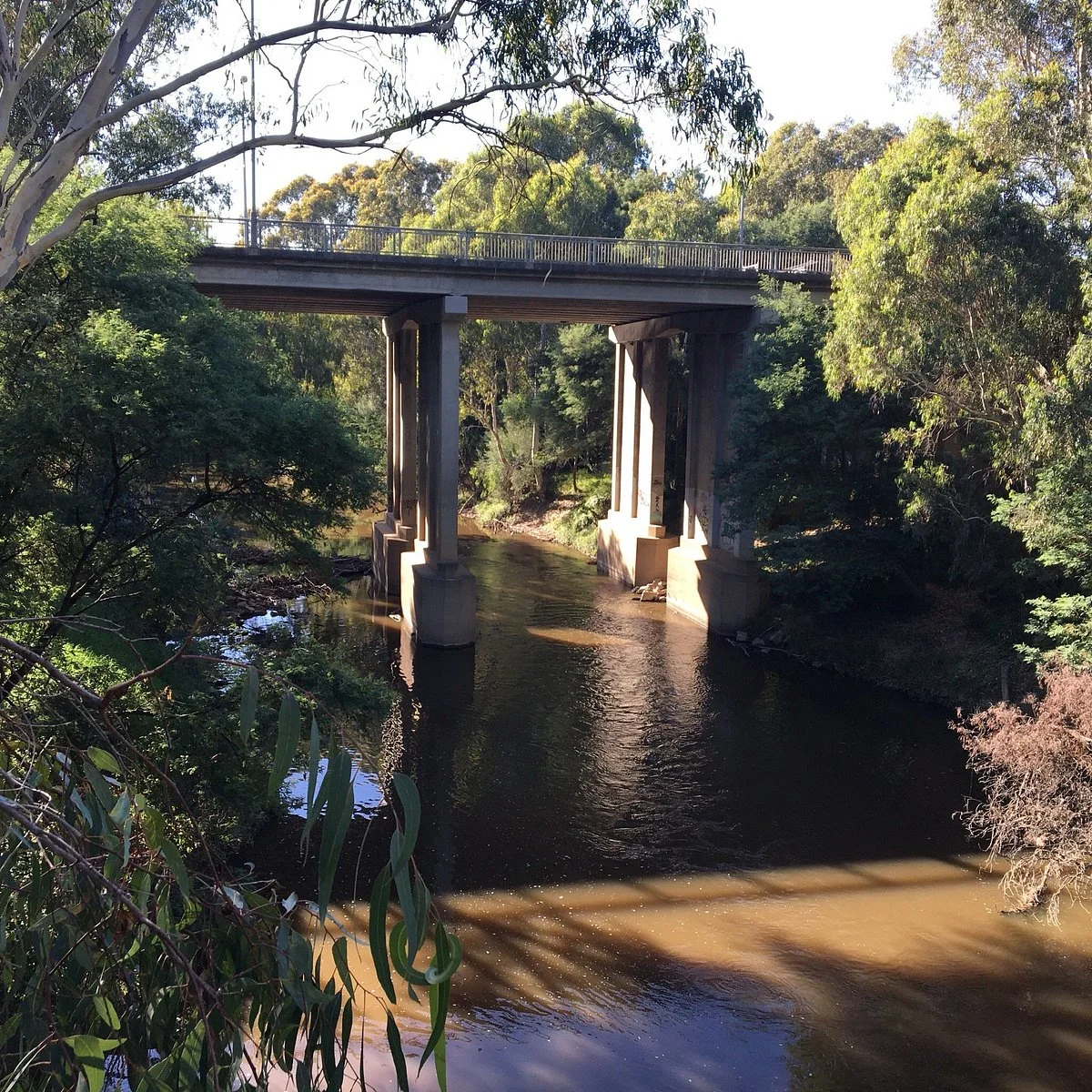 Burke rd billabong reserve