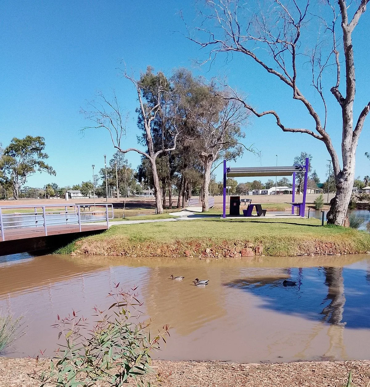 Outback Native Timber Walk