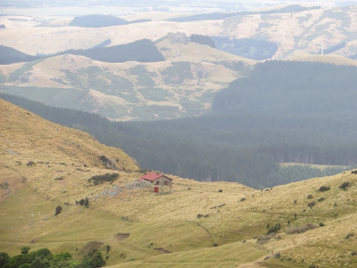 Te Ara Pātaka/Summit Walkway