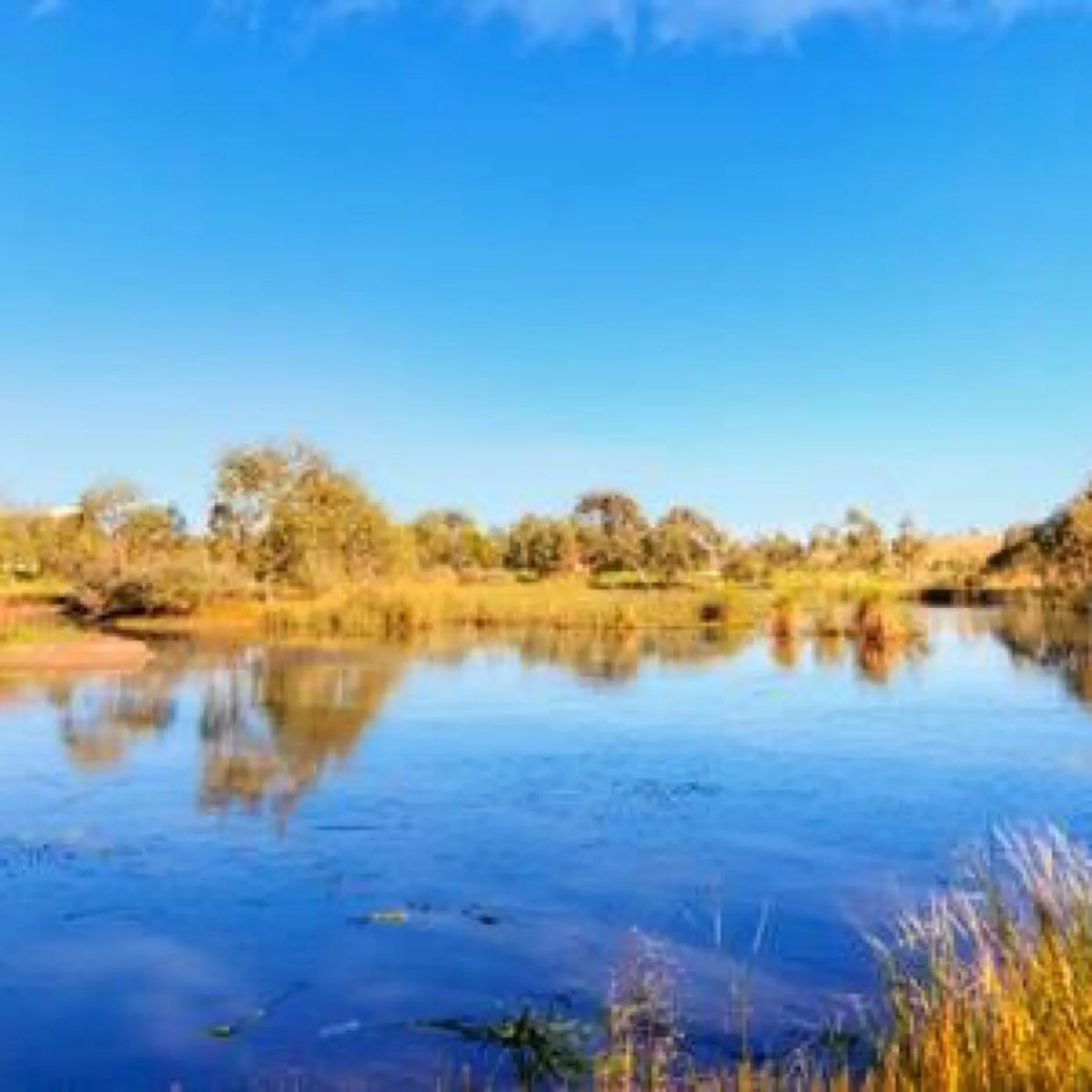 Hendersons Creek Wetlands