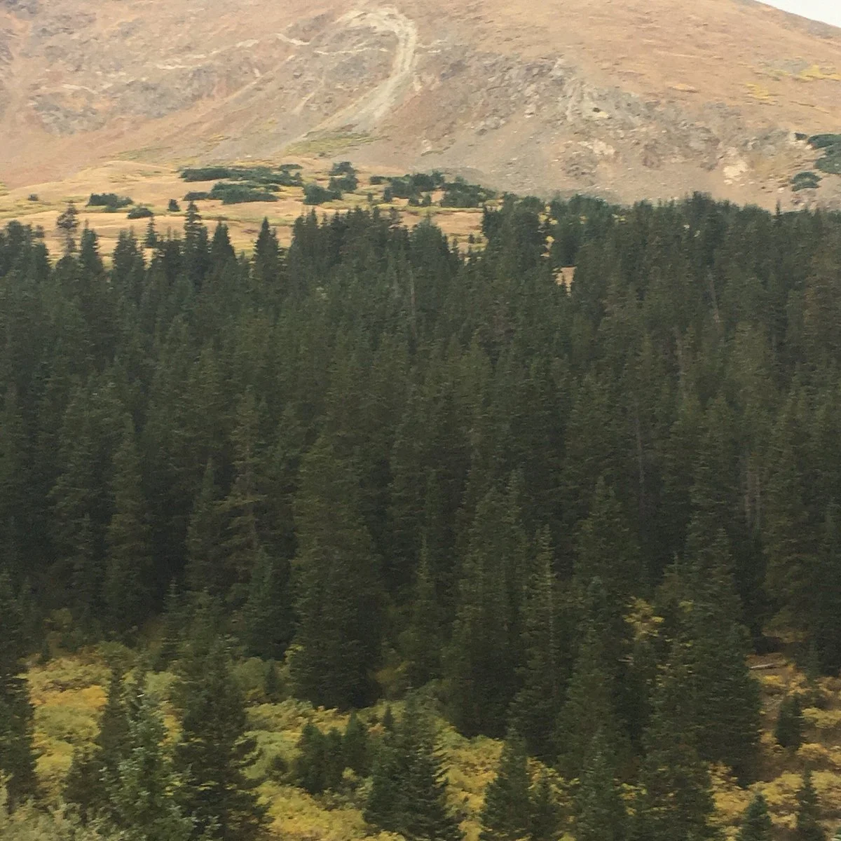 Grey Peaks National Park