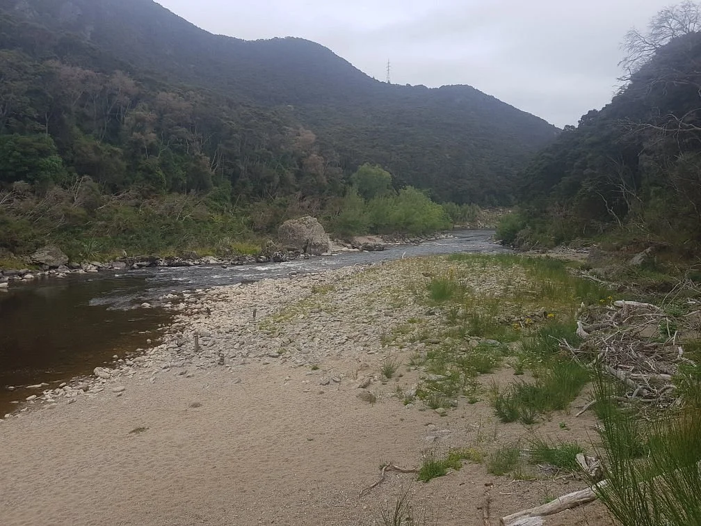 Outram Glen Scenic Reserve