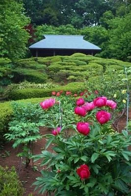 Machida City Minken no Mori Park