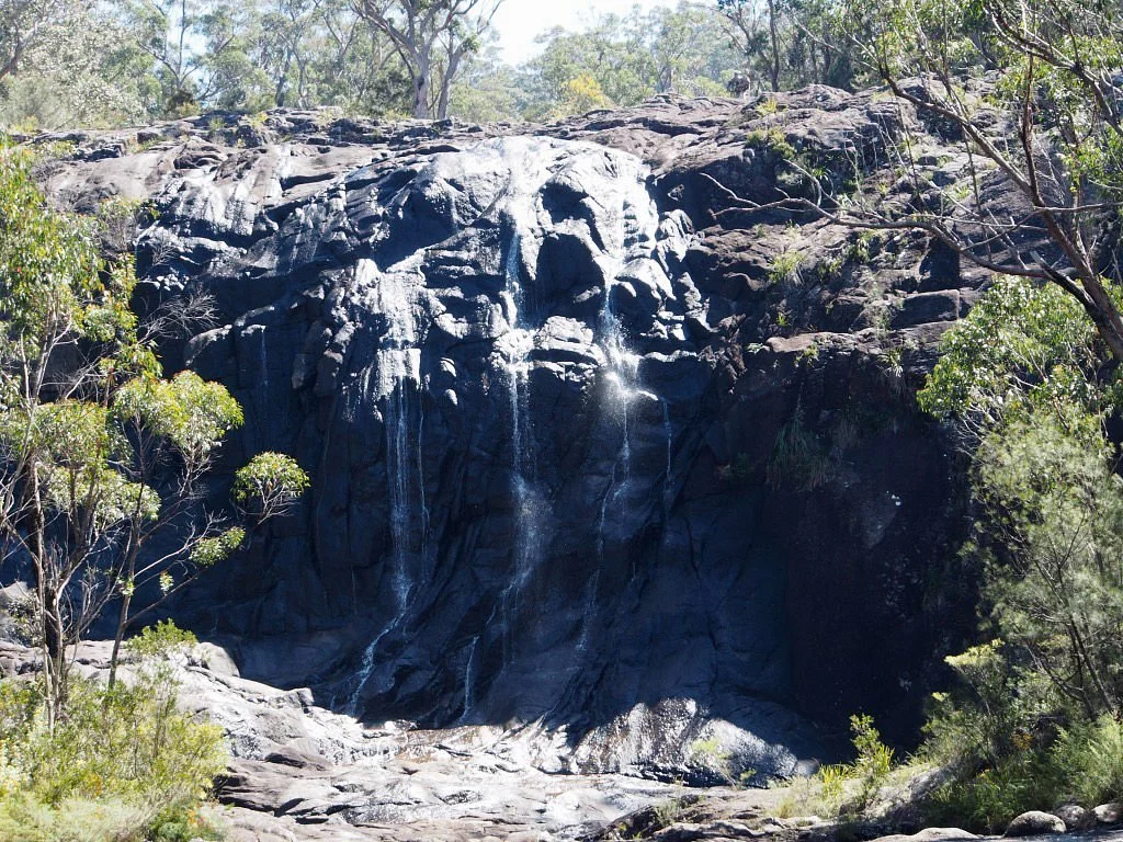 Basket Swamp National Park