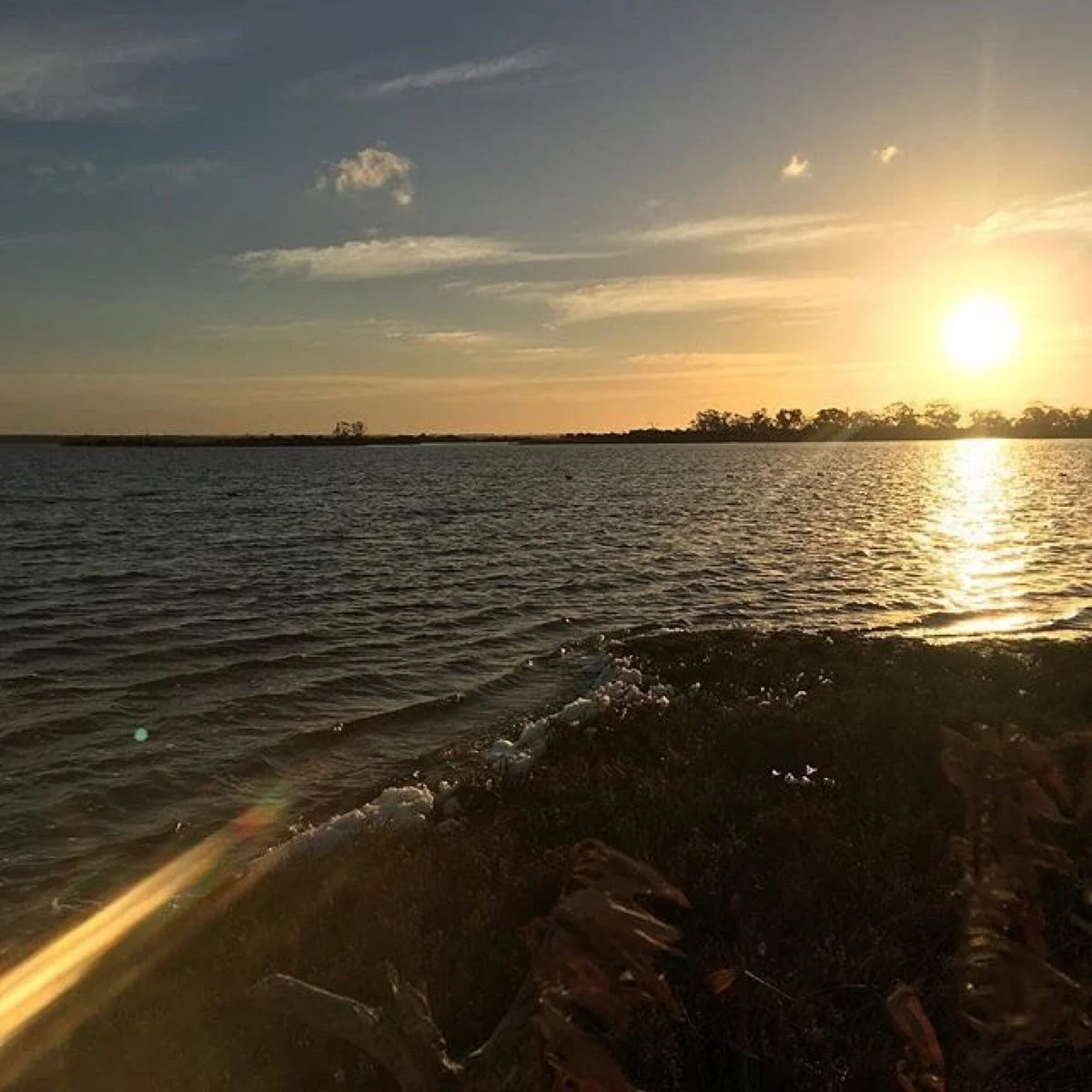 Lake Coleman State Game Reserve