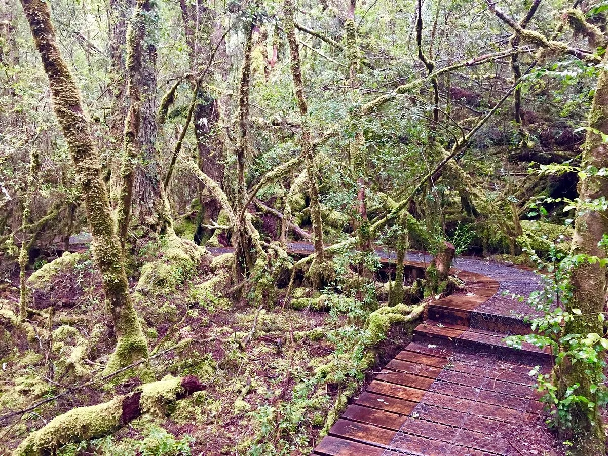 Creepy Crawly Nature Trail