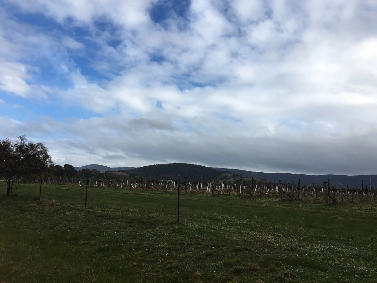 Mount Avoca
