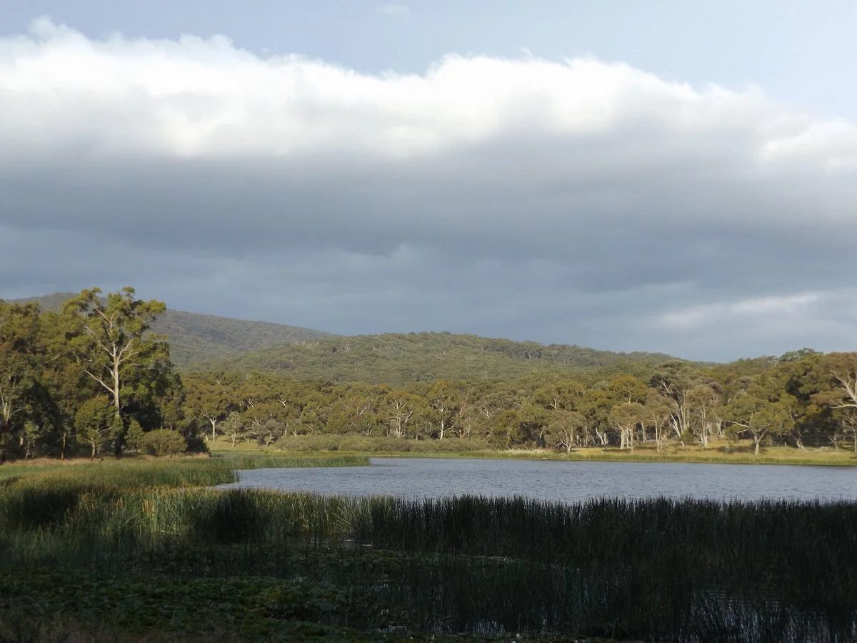 Dumaresq Dam
