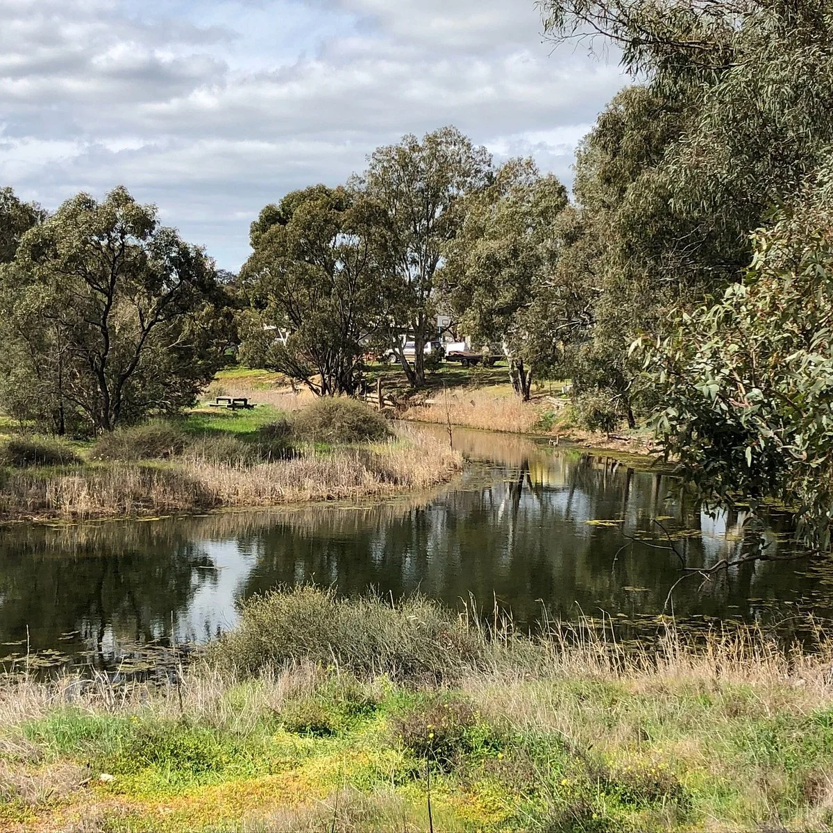 Richardson River