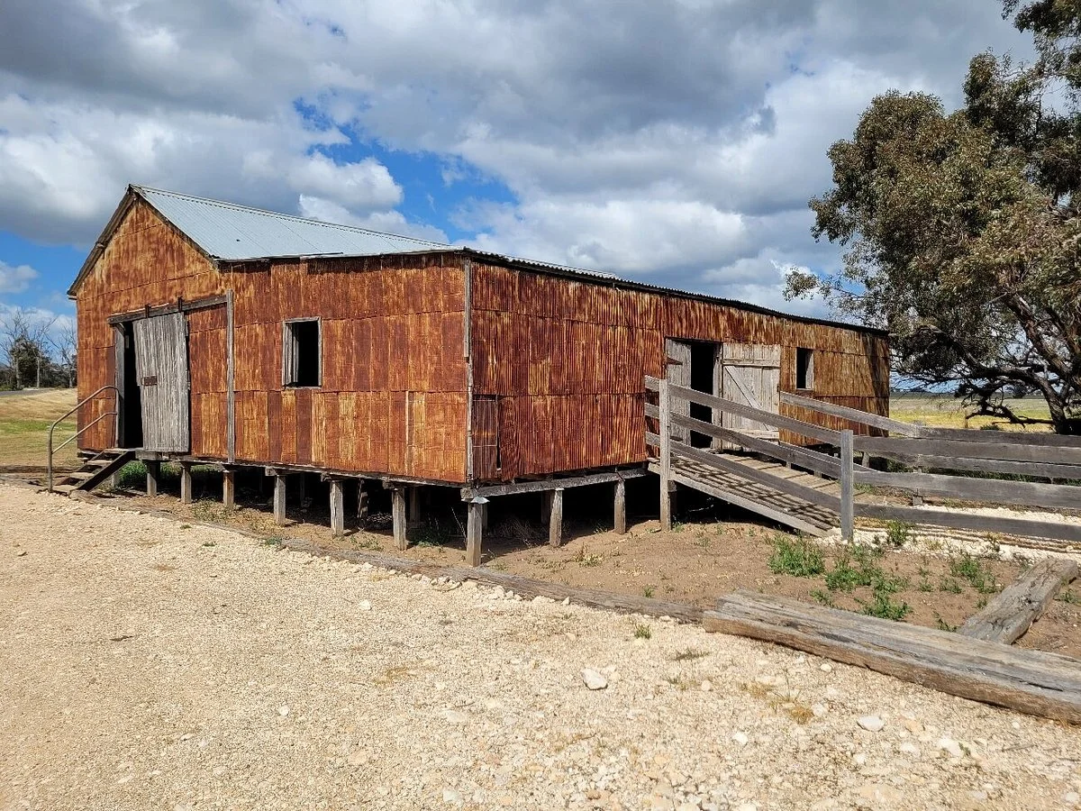 Kerosine Tin Shearing Shed