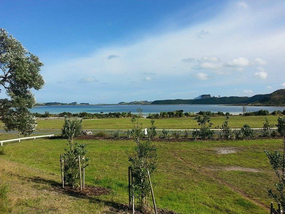 Taharoa Domain