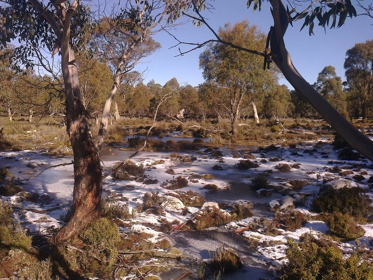 Great Western Tiers Conservation Area