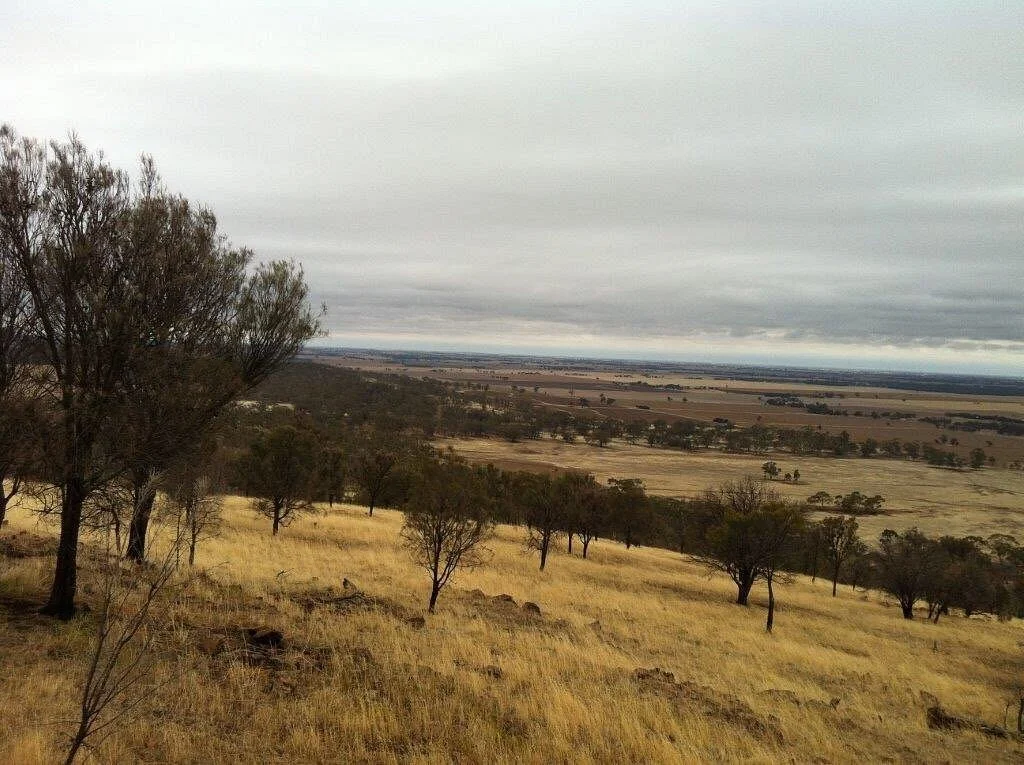 Mount Jeffcott Flora and Fauna Reserve