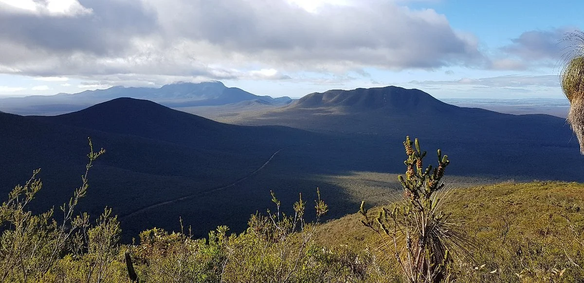 Mt Hassell