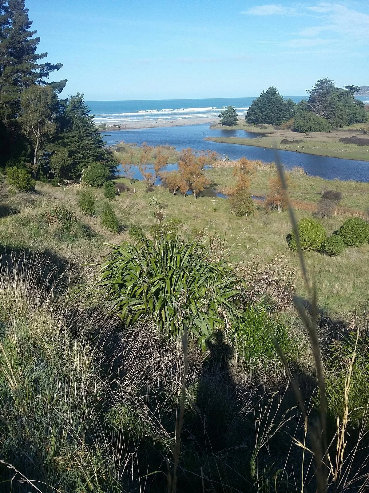 Historic Jed Vale Cemetery Walk