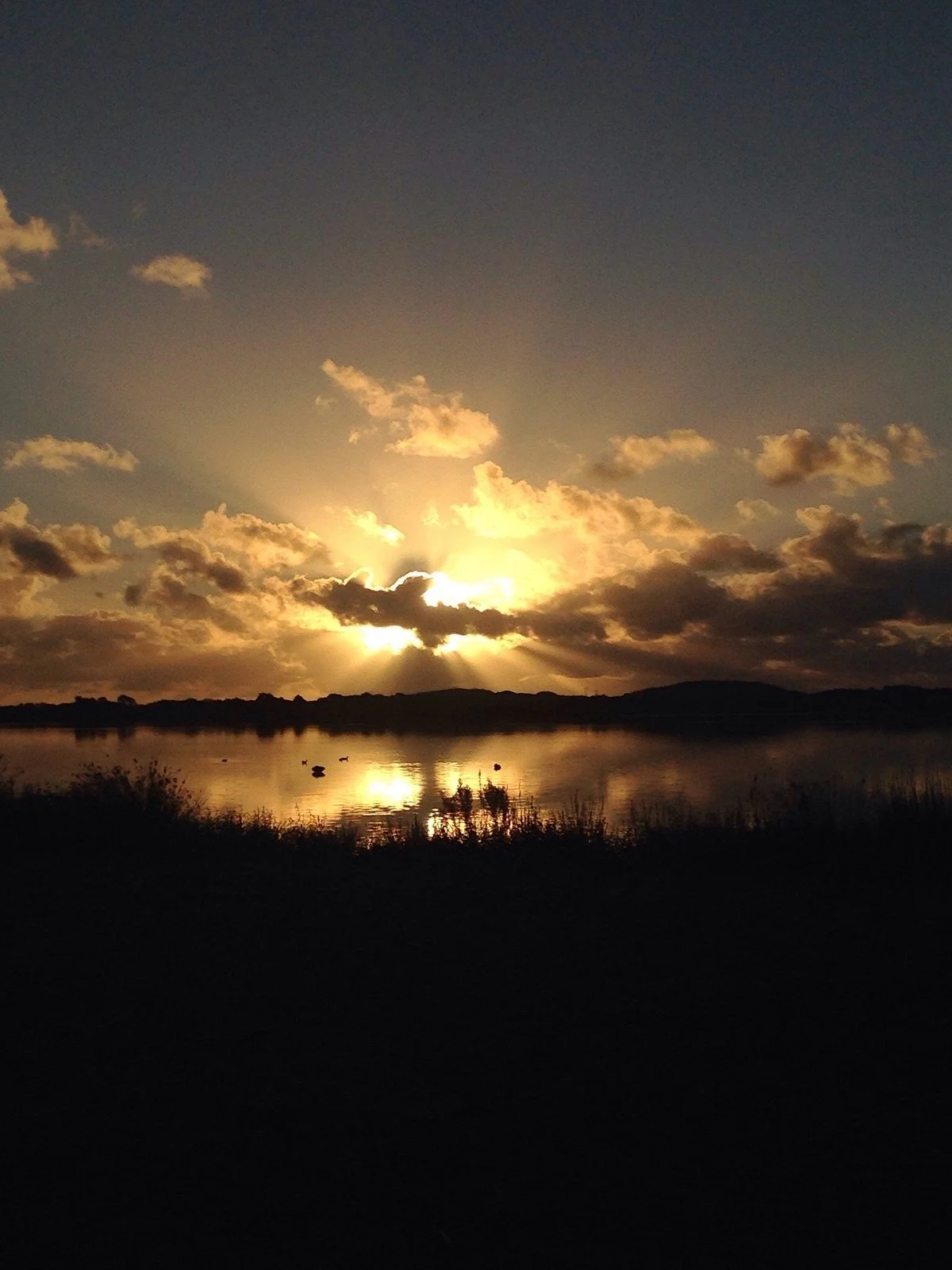 Lake Horowhenua