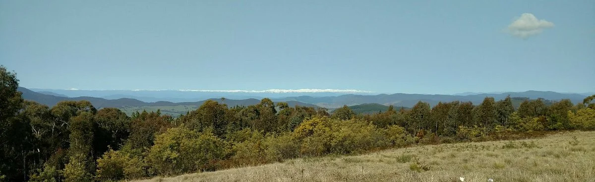 Lawrence Lookout