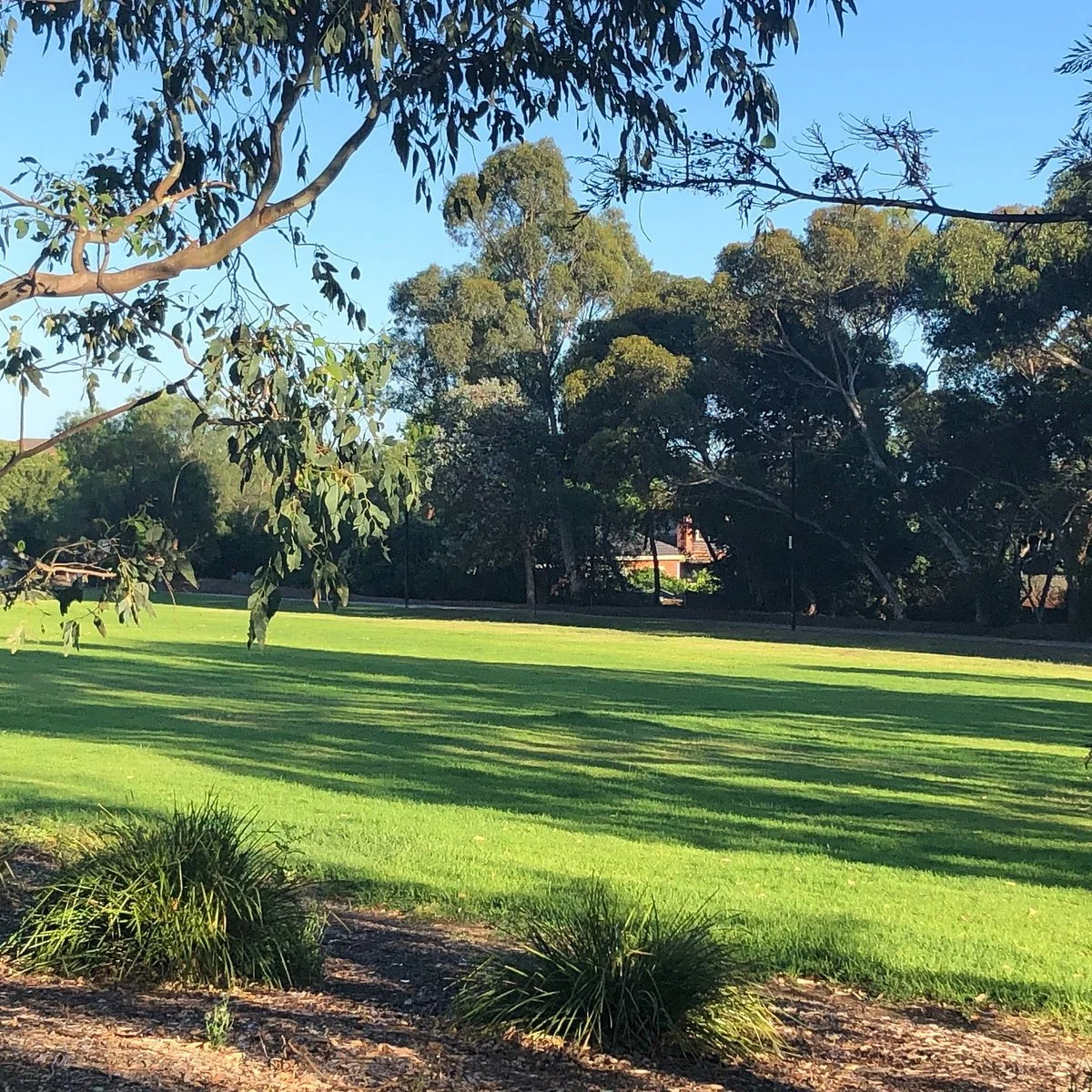 Outer Circle Linear Park Playground