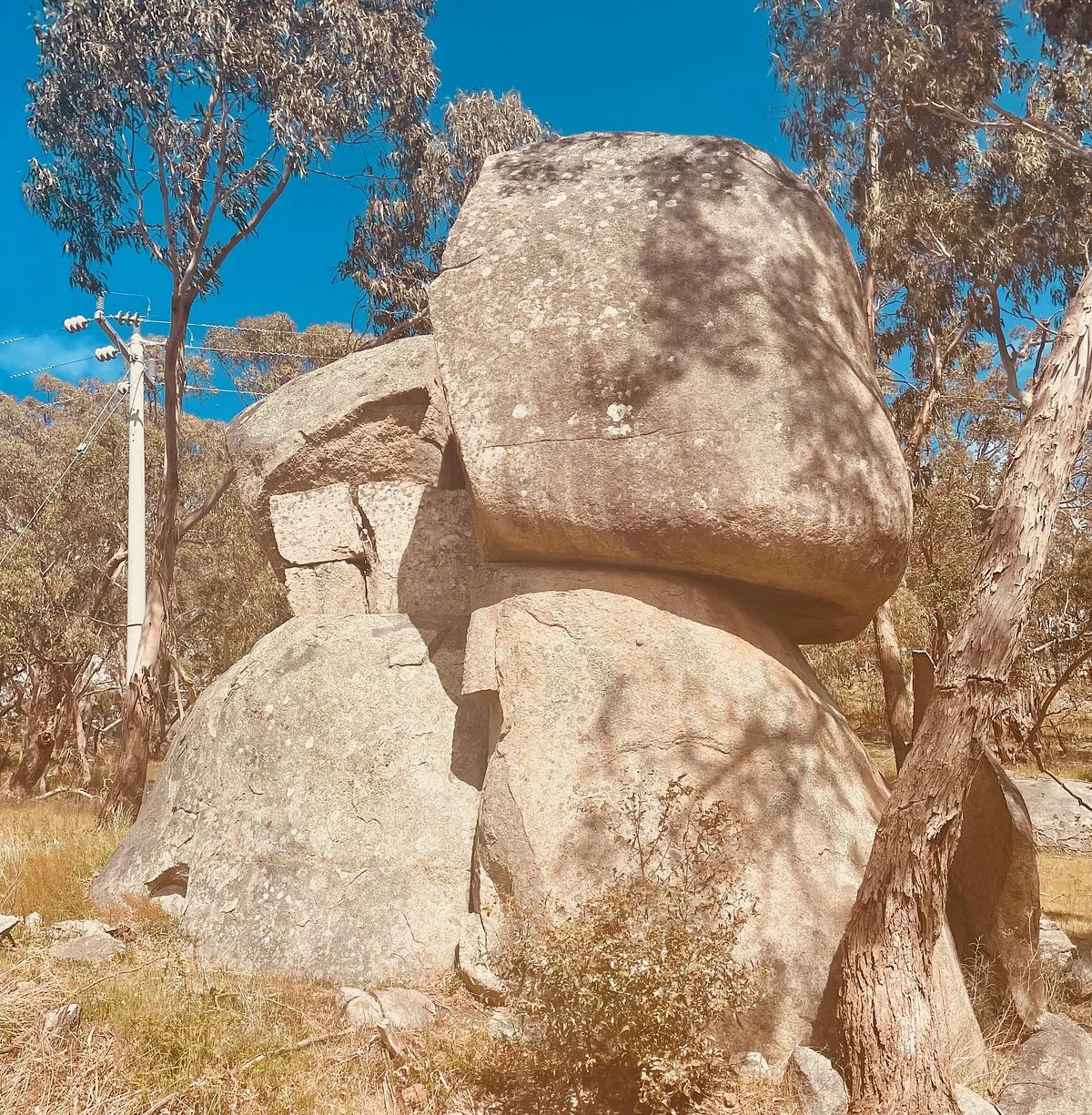 Mount Alexander