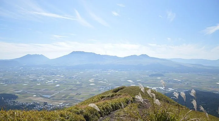 Ichinino Strawberry Farm