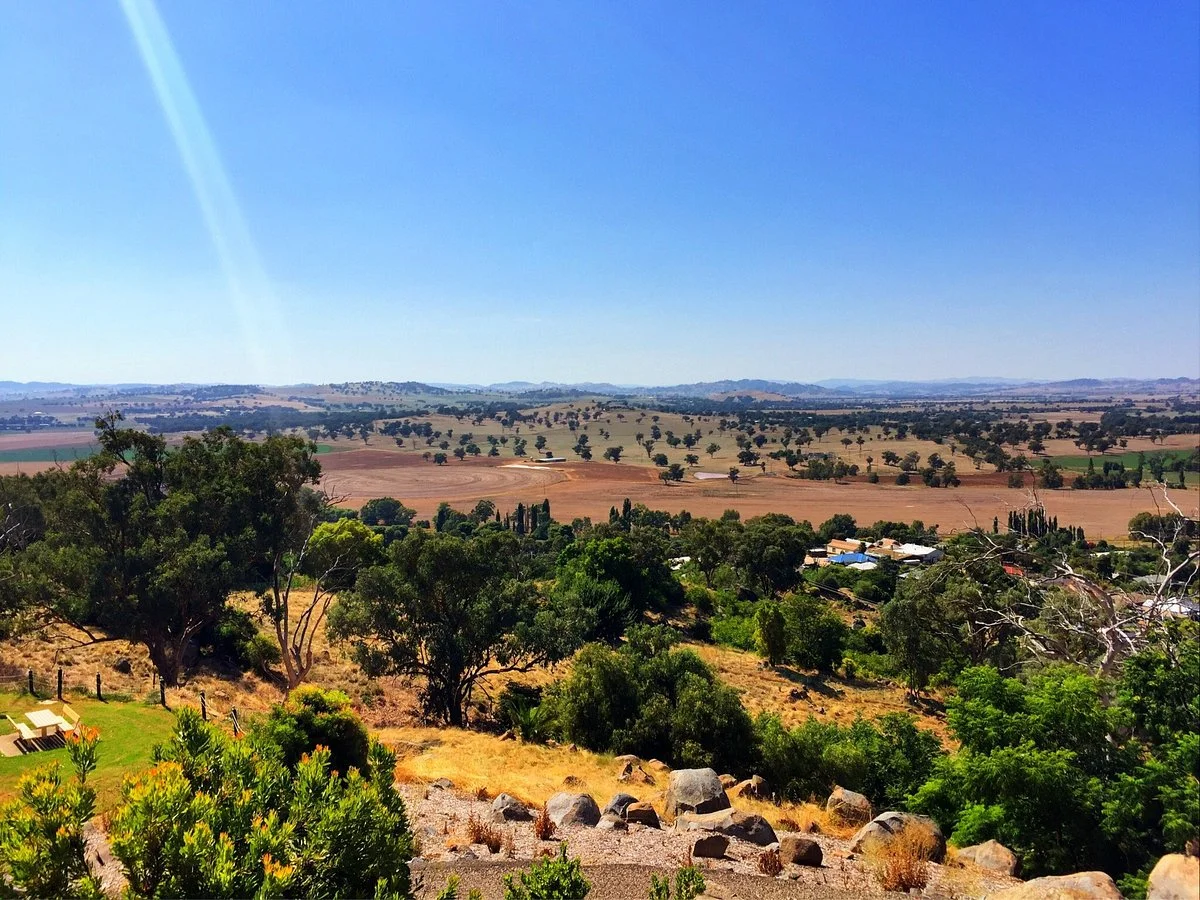 Bellevue Hill Reserve and Lookout