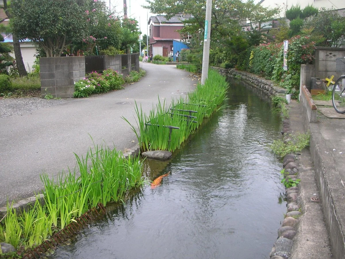 Shimbori Canal