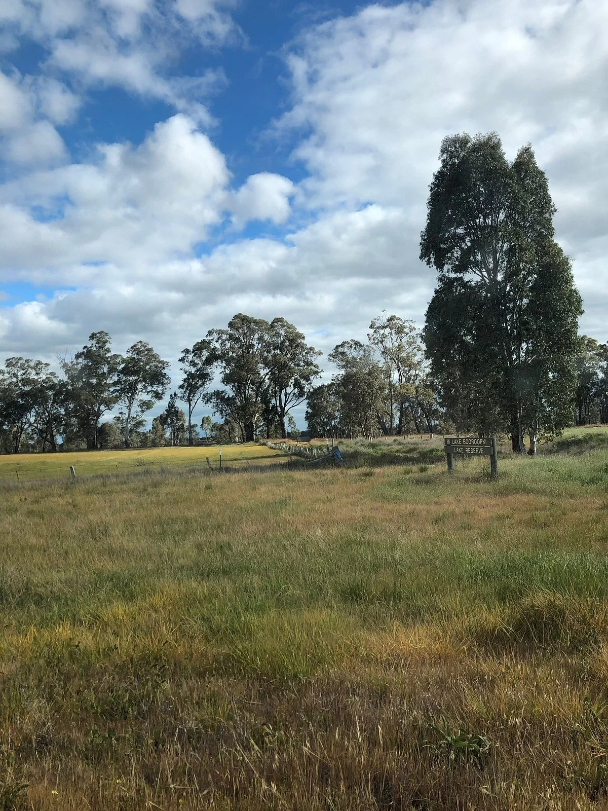 Lake Booroopki