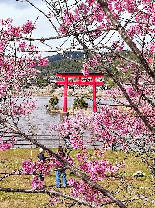 Kameyama Suitengu