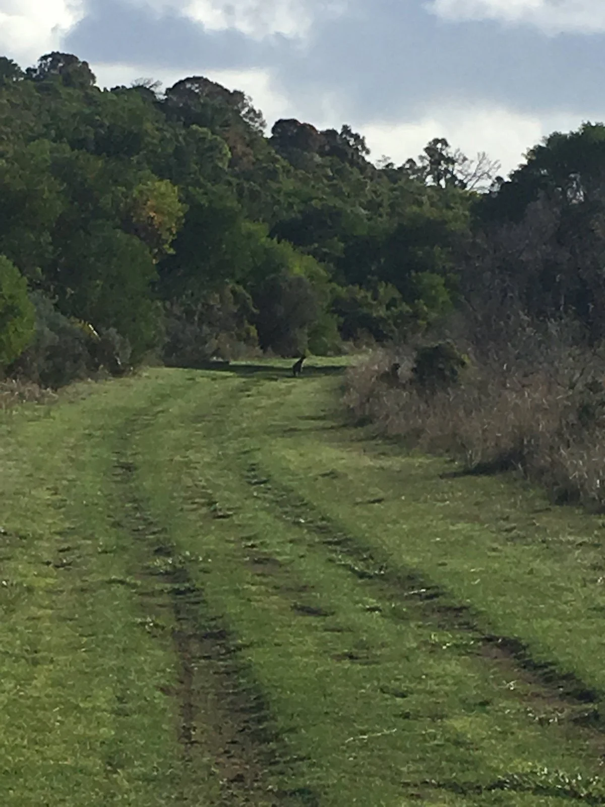 Coola Outstation Historical Hike