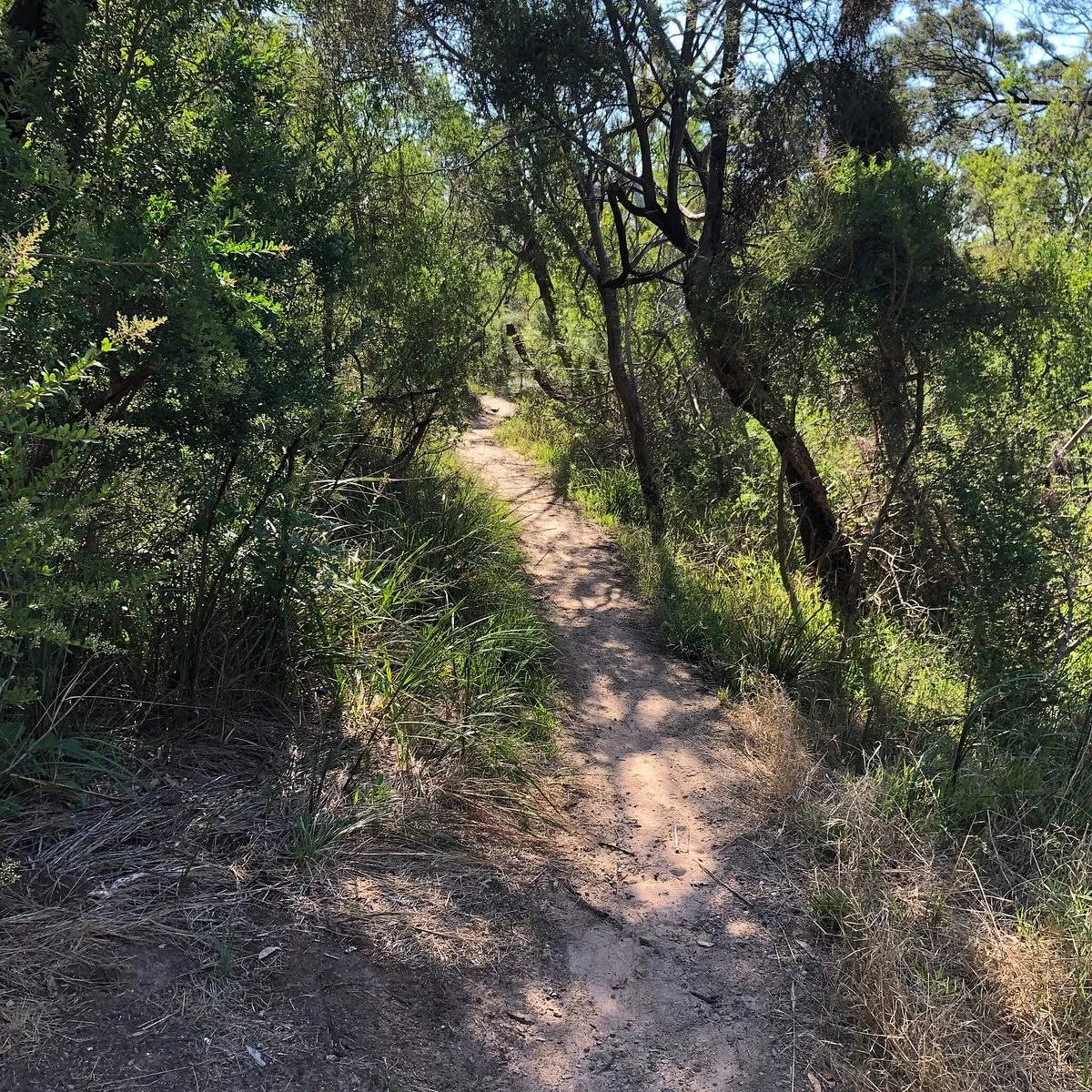 Lorikeet Reserve