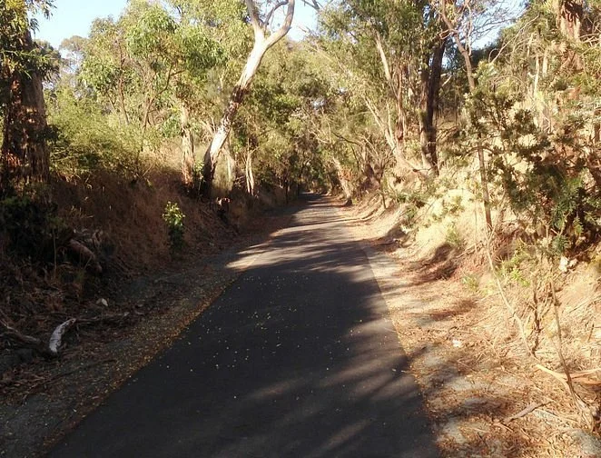 Amy Gillett Bikeway