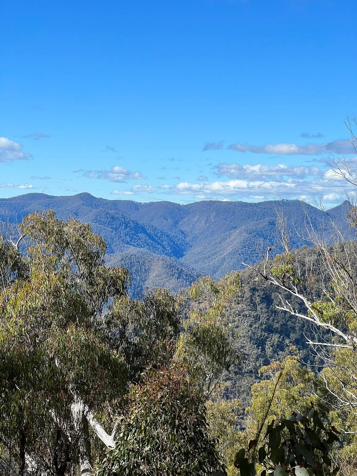 Green Gully Walk