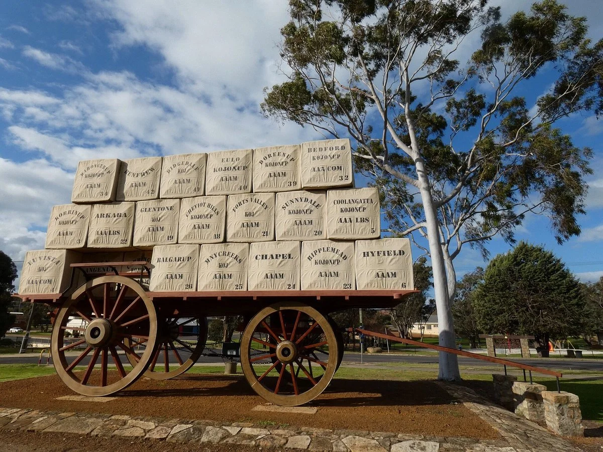 Giant Wool Wagon