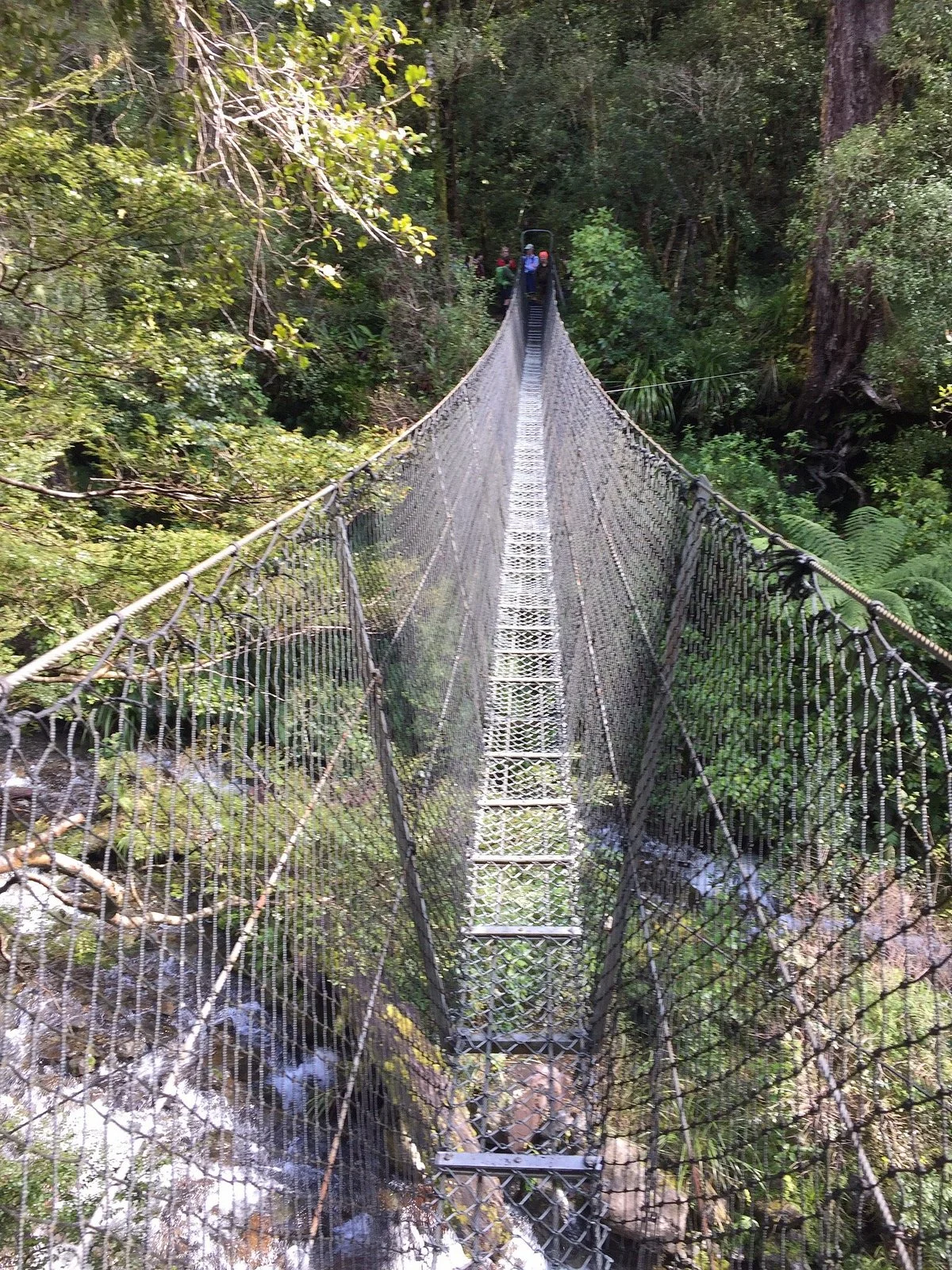 Powell Hut & Mount Holdsworth Track