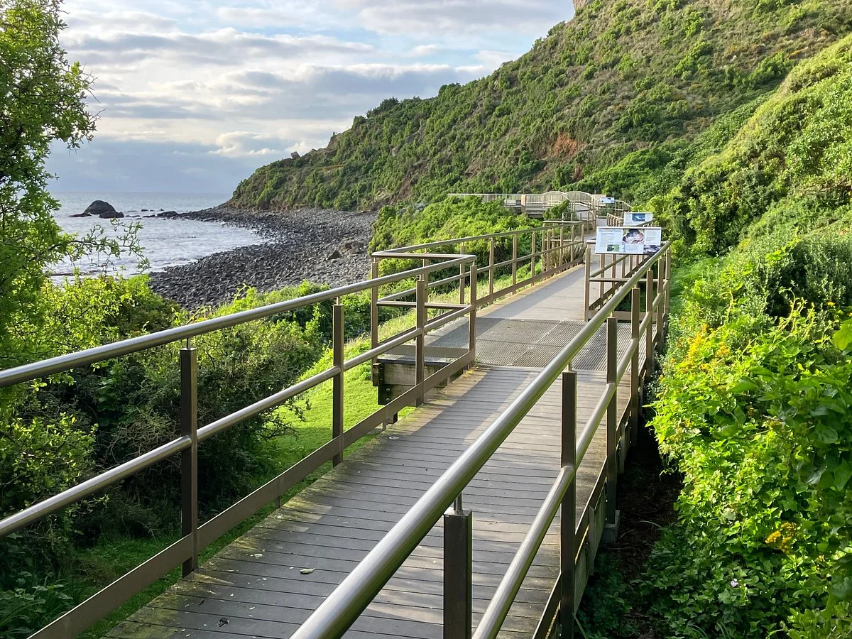 Godfrey’s Beach Penguin Viewing