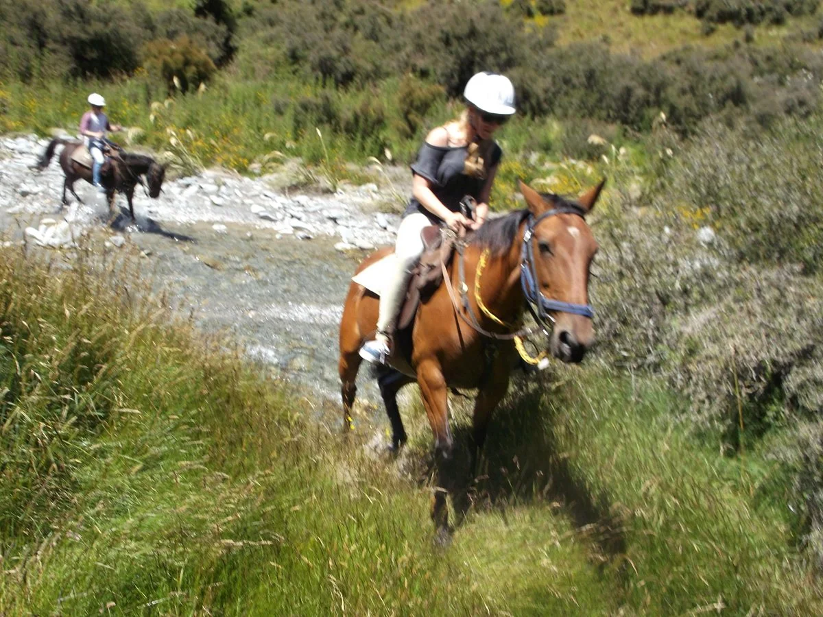 Stoneridge Horsetreks