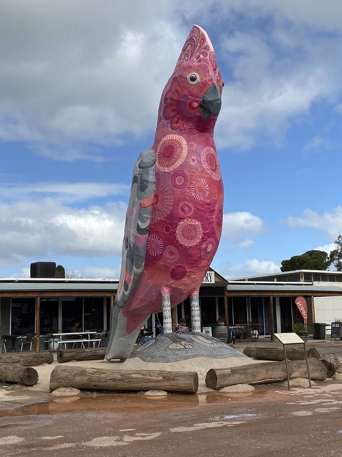 The Big Galah