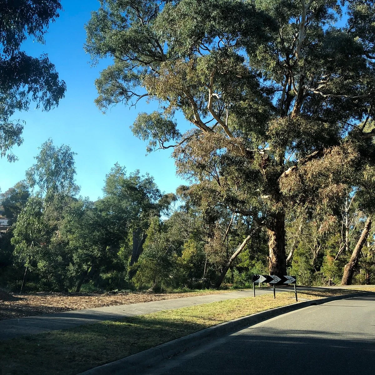 Regent Street Reserve