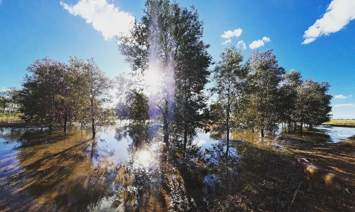 Cunnamulla Bushlands