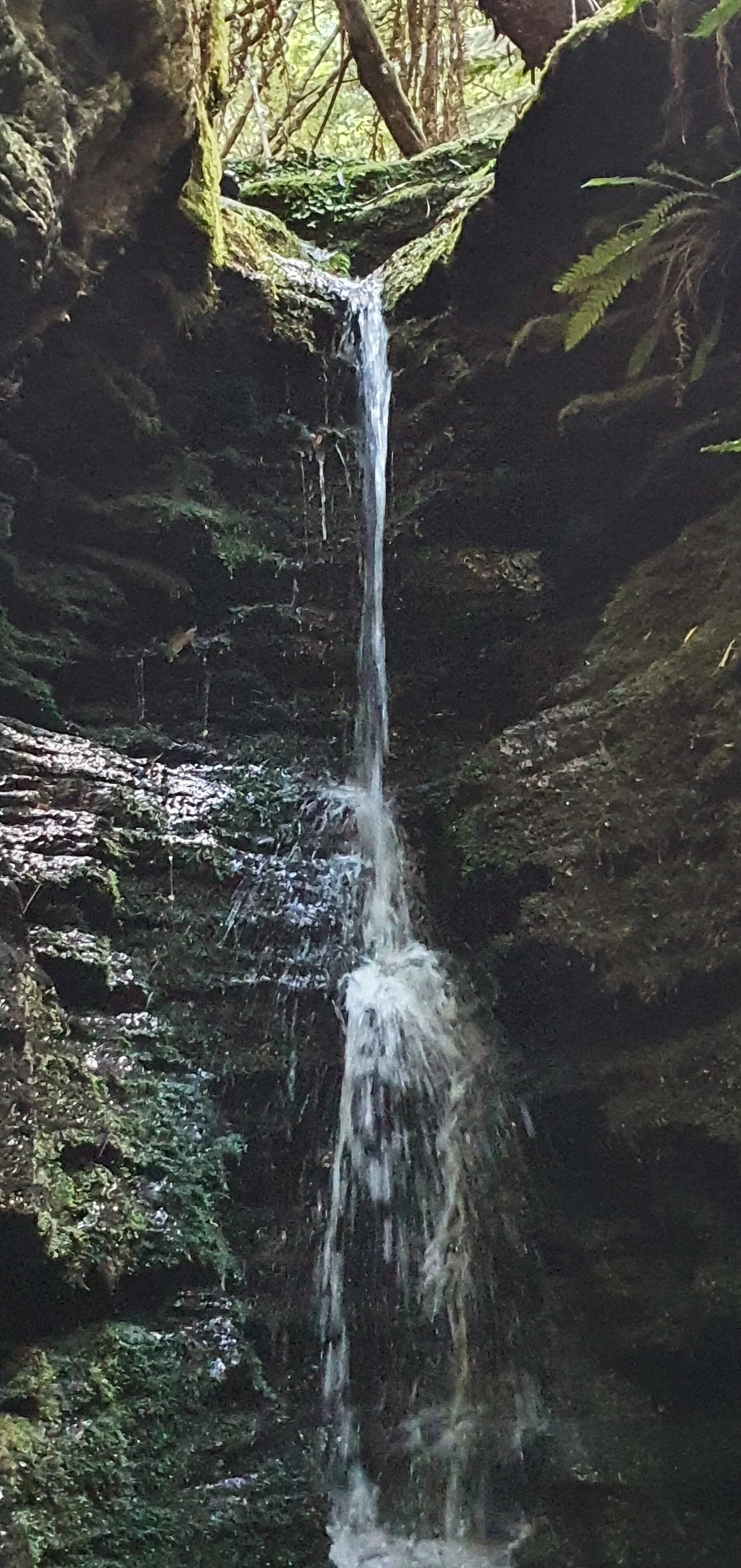 Secret Falls