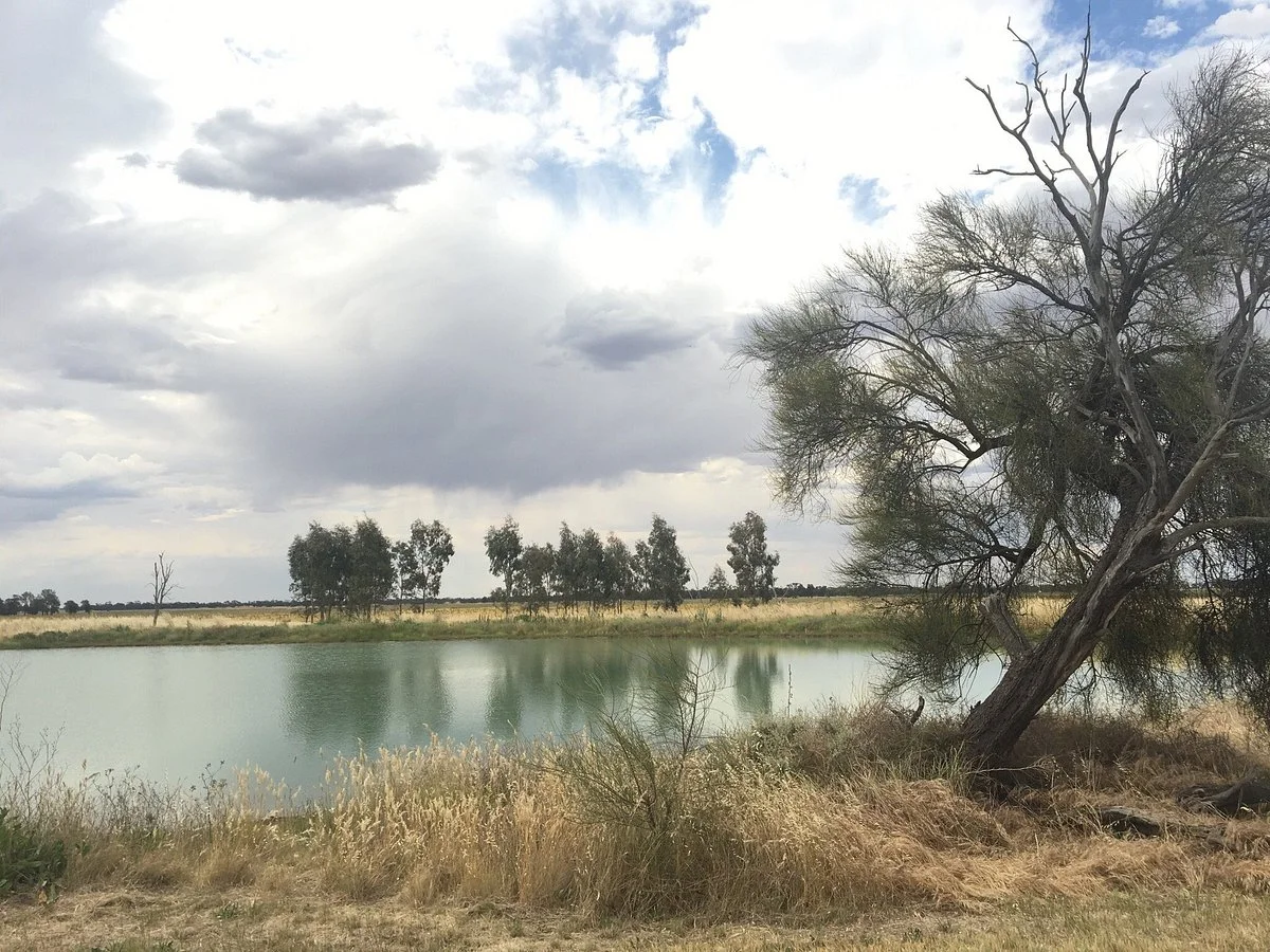 Minyip Wetlands