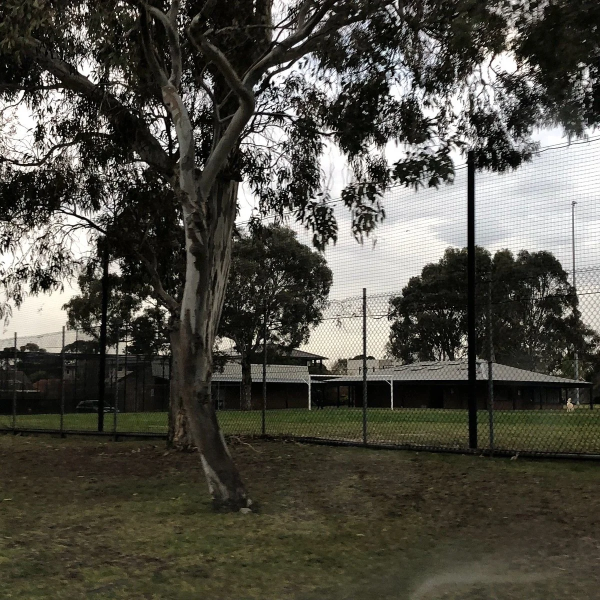 RJ Sillitoe Reserve