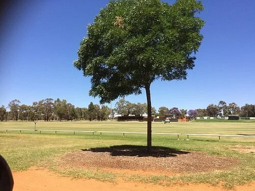 Quandong Park