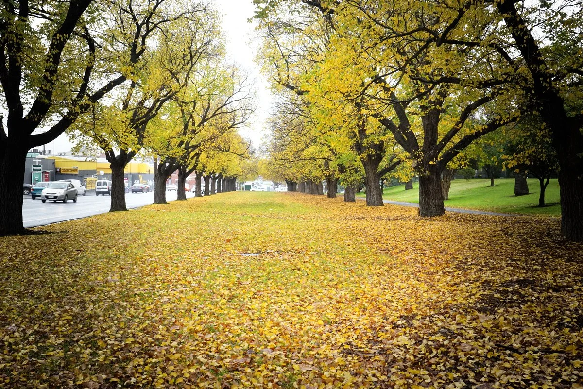 Darling Gardens