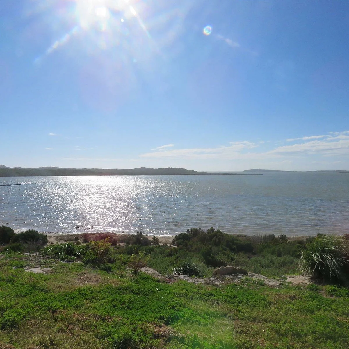 Adelaide International Bird Sanctuary