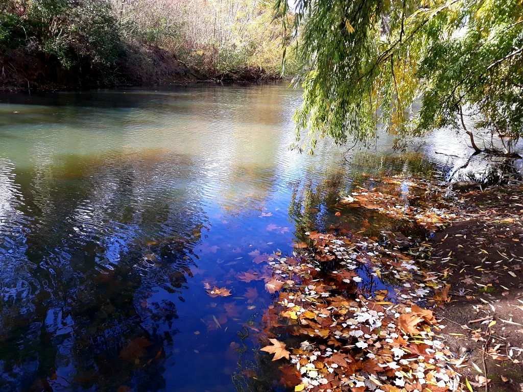 Neilson Park