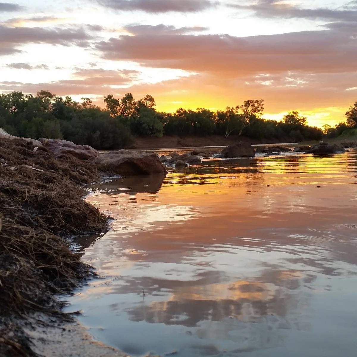 Coopers Creek Crossing