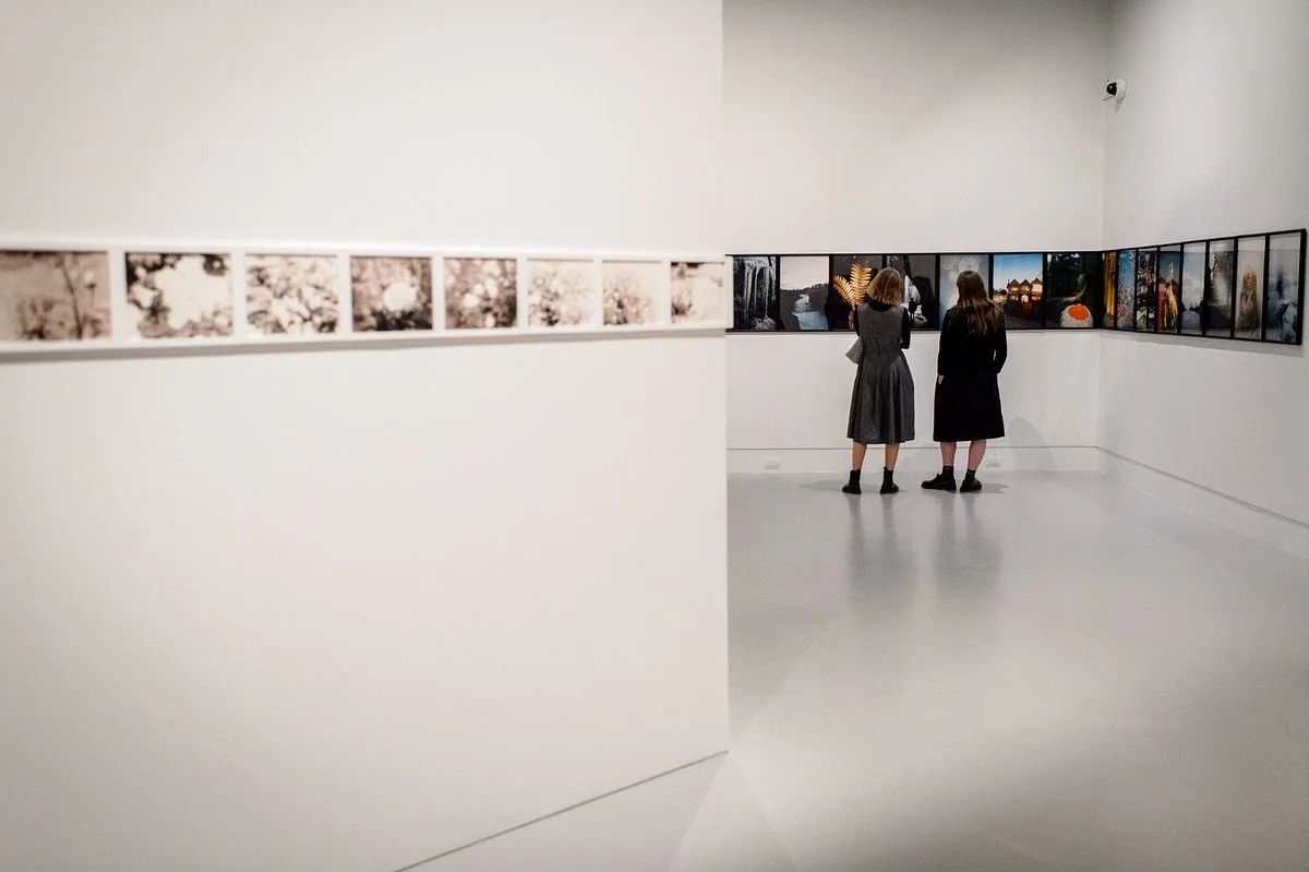 The Dowse Art Museum