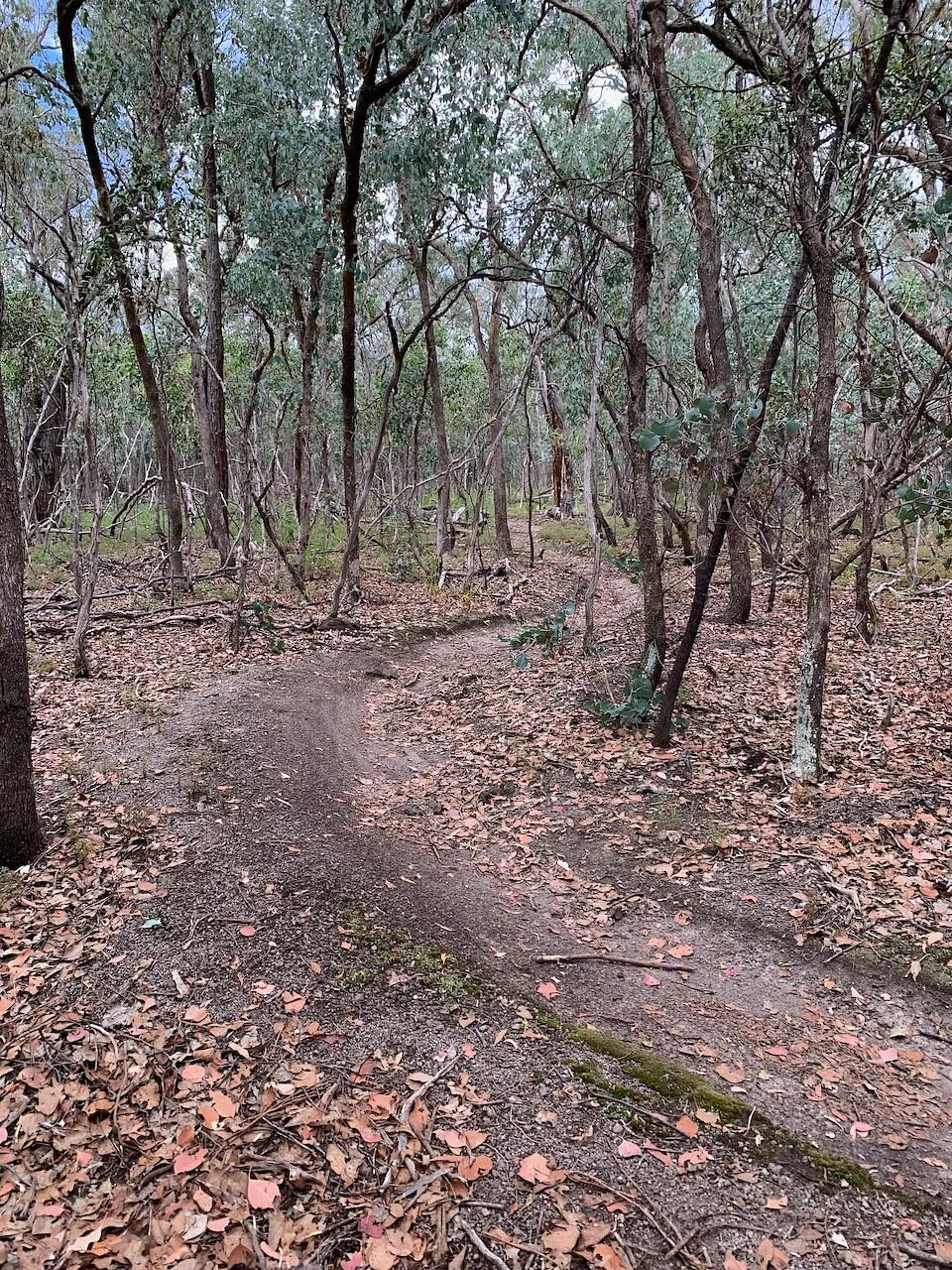 Blores Hills MTB Park